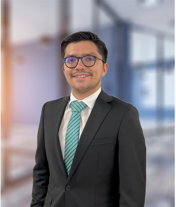 Cristián Castañeda Salinas
